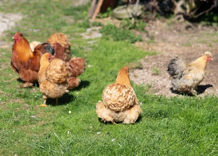 Haus Reichl Apartmán Berndorf bei Salzburg