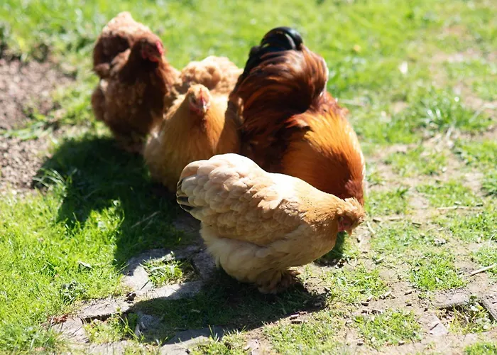 Apartmán Haus Reichl Berndorf bei Salzburg